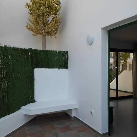 Realrent * Costa Teguise
